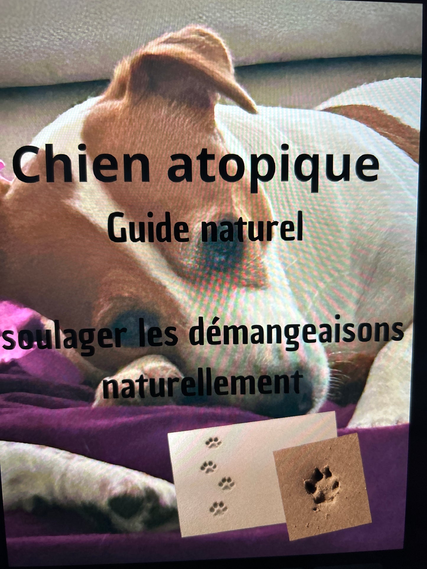 Repas pour mon chien dermite atopique — Guide pratique pour soulager naturellement votre 🐶🐾
