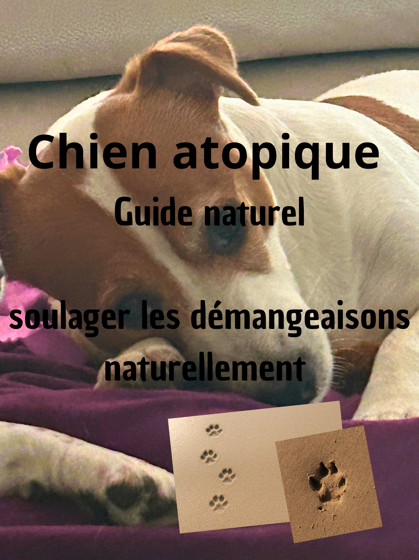 Repas pour mon chien dermite atopique — Guide pratique pour soulager naturellement votre 🐶🐾