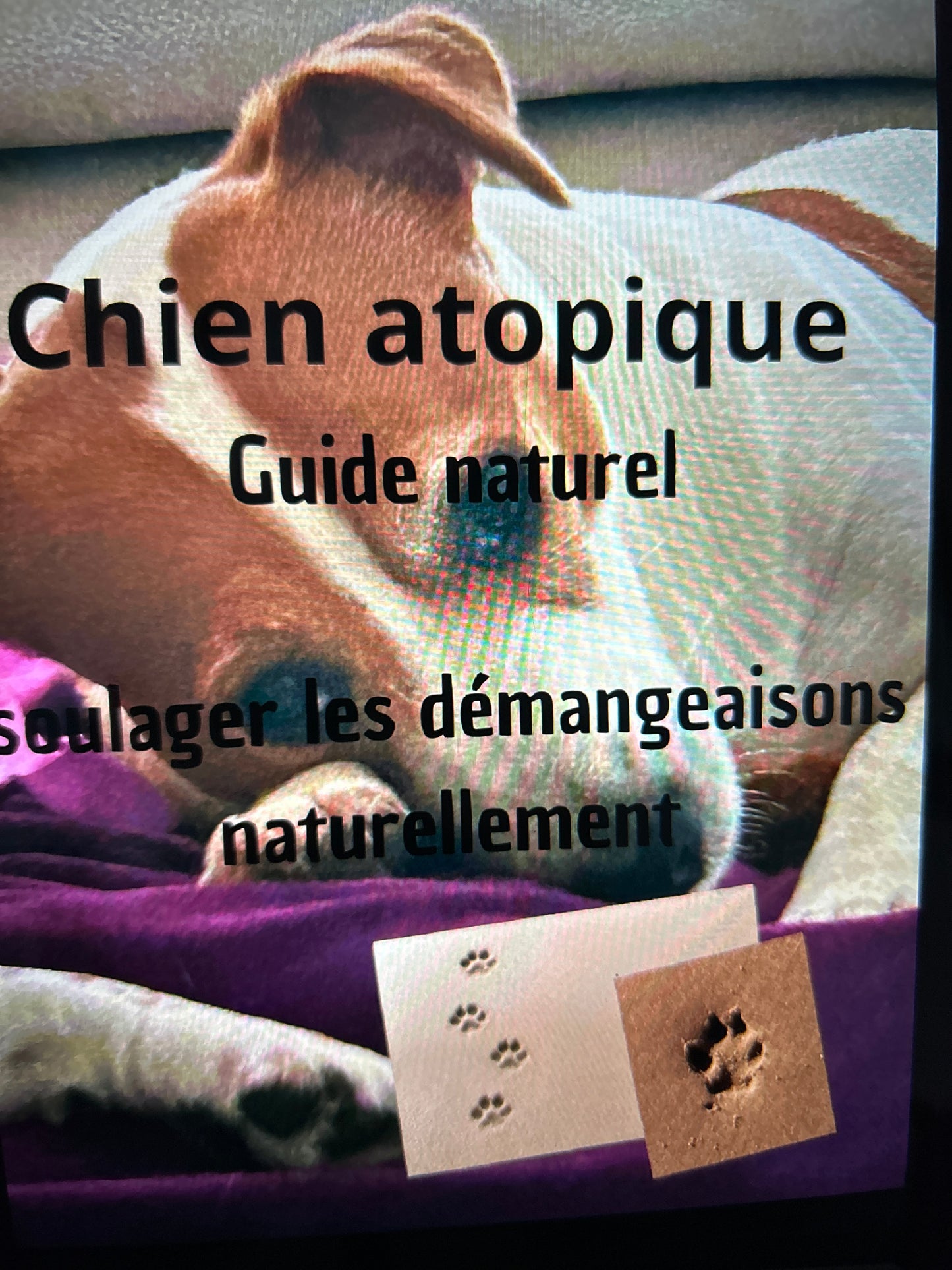 Repas pour mon chien dermite atopique — Guide pratique pour soulager naturellement votre 🐶🐾