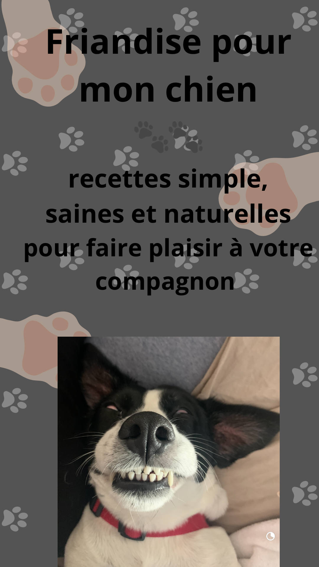 Friandise maison pour mon chien recette saines et naturelles 🐶🐾 anti démangeaisons & digestion